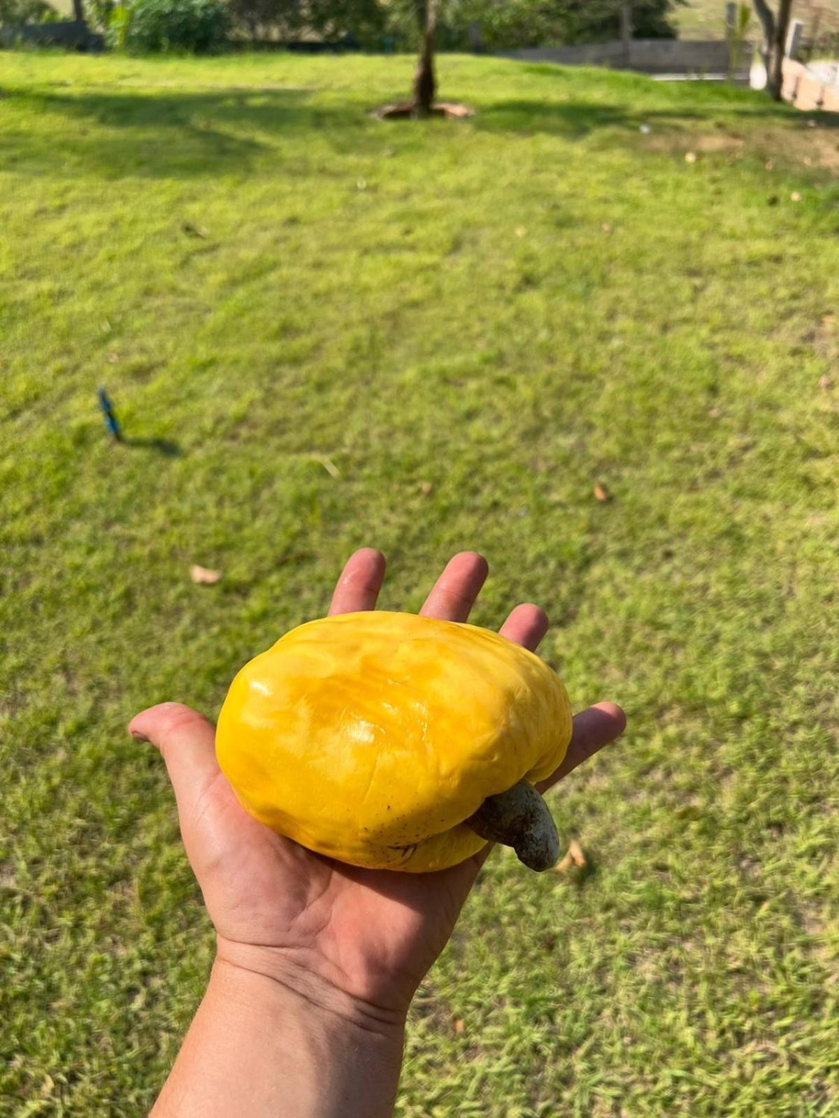 Pousada Alter Para Todos Alter do Chão Exterior foto